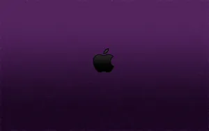 Apple主题 第42辑_4