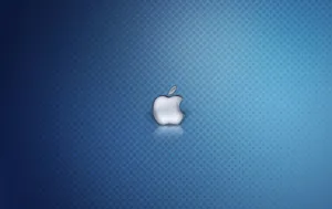 Apple主题 第41辑_19
