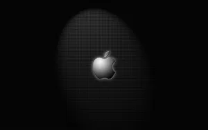 Apple主题 第40辑_2
