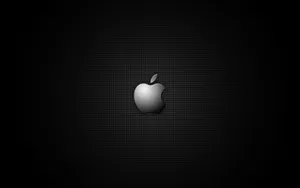 Apple主题 第40辑_3
