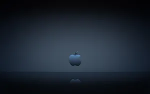 Apple主题 第37辑_10