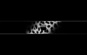 Apple主题 第36辑第1张