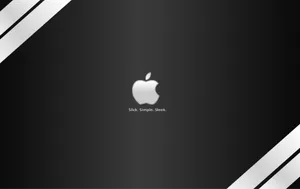 Apple主题 第36辑_6