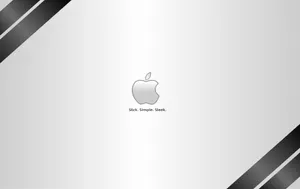 Apple主题 第36辑_7