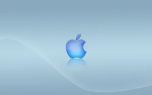 Apple主题 第36辑_11