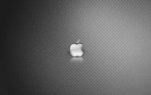 Apple主题 第36辑_13