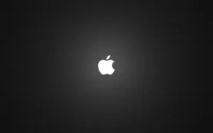 Apple主题 第36辑_16