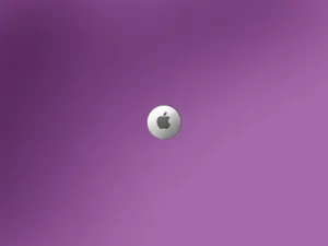 Apple主题 第33辑_11