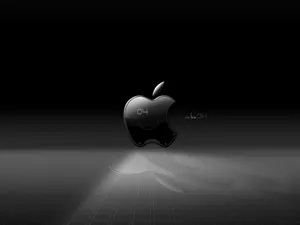 Apple主题 第32辑_18