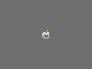 Apple主题 第31辑_6