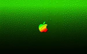 Apple主题 第30辑_19