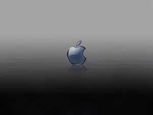Apple主题 第20辑_3