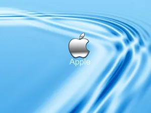 Apple主题 第19辑_19