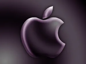 Apple主题 第17辑_3