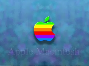 Apple主题 第16辑_9