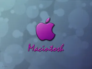 Apple主题 第15辑_17