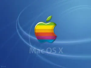 Apple主题 第13辑_9