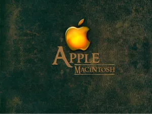 Apple主题 第12辑_13