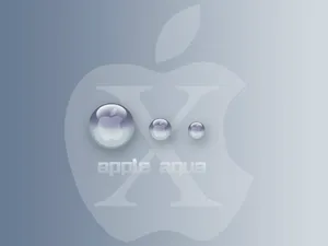 Apple主题 第11辑_17