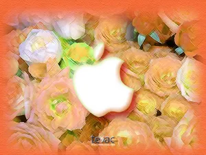 Apple主题 第十辑_13