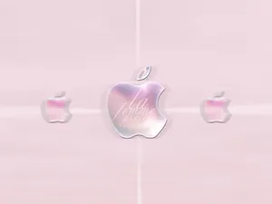 Apple主题 第八辑_7
