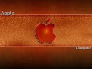Apple主题 第八辑_11