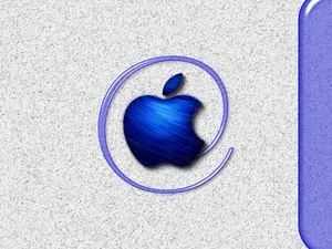 Apple主题 第八辑_14