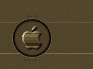 Apple主题 第七辑_6