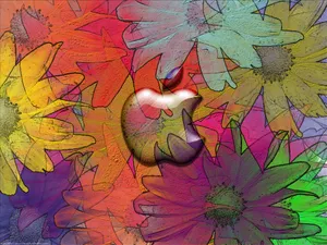 Apple主题 第七辑_7