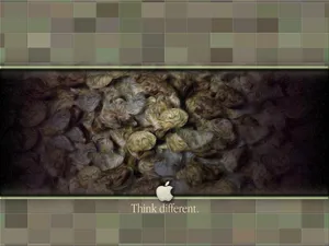 Apple主题 第六辑_11