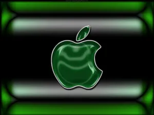 Apple主题 第六辑_12