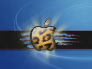 Apple主题 第五辑_11
