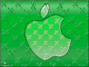 Apple主题 第二辑_5