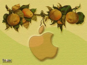 Apple主题 第一辑_3