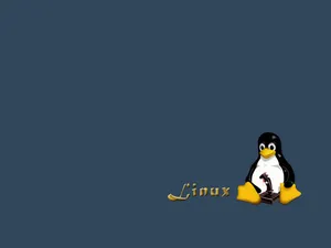 linux 第四辑_9