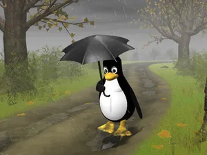linux 第四辑_13