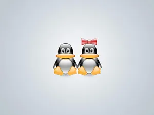 linux 第四辑_15