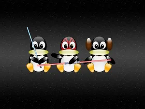 linux 第二辑_16