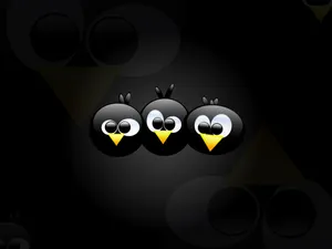 linux 第二辑_17