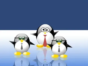 linux 第一辑第1张