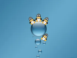 linux 第一辑_3