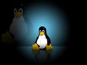 linux 第一辑_5