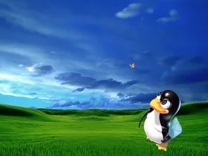 linux 第一辑_6