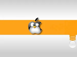 linux 第一辑_8