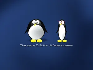 linux 第一辑_9