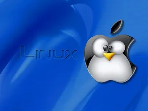 linux 第一辑_11