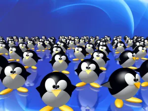 linux 第一辑_14