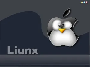 linux 第一辑_16