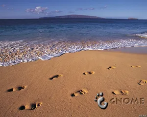 1280Gnome 第二辑_6