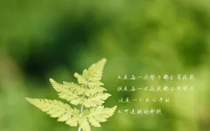 心灵语录文字壁纸_5